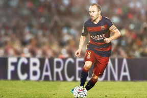 JIUYOU GAMING-日本马术协会举办马匹护理培训班，提高骑手护理技能。，日本马术场地惊现恐怖场景