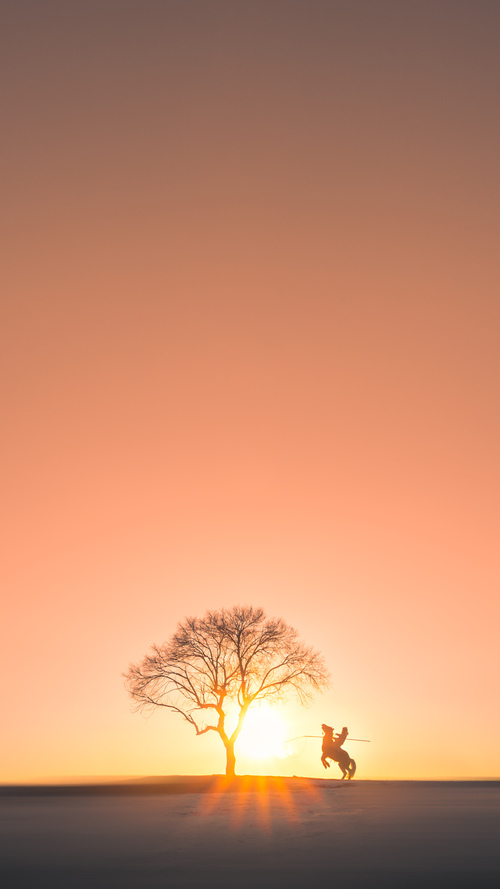 《知名战队揭秘:他们的成功之路》,知名战队名字