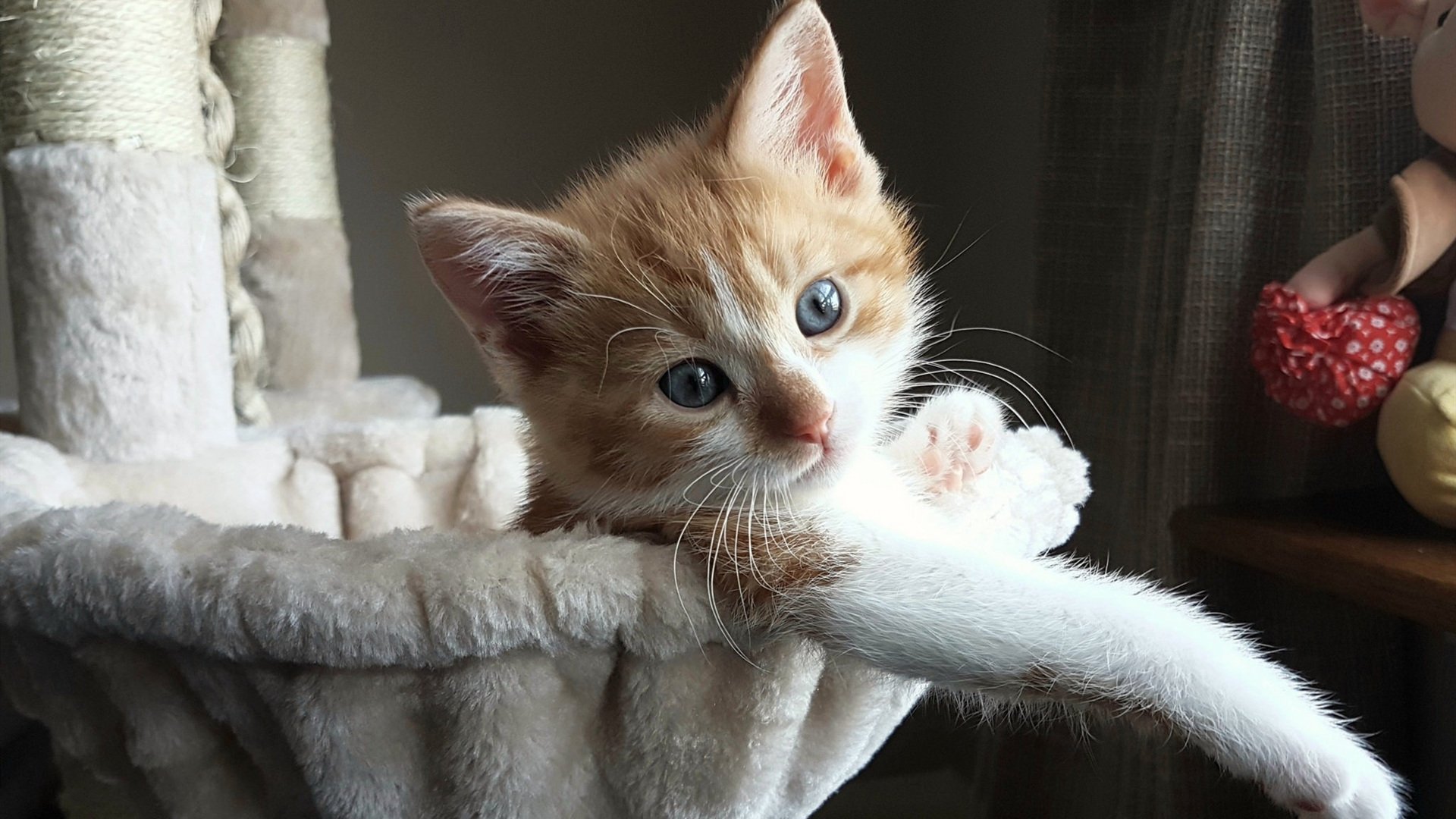 九游app下载中心-《赛事分析师：从战术到心态全方位解读比赛》，专业赛事分析预测软件