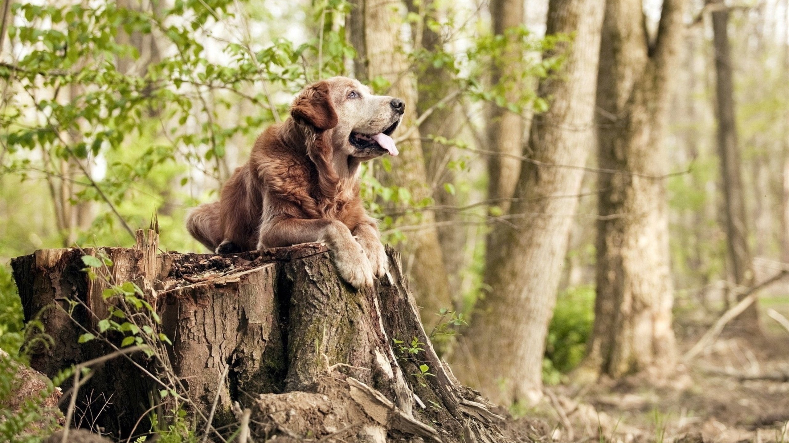 九游网页版官网-【出局方式全指南】触杀、接杀、犀利传球，你了解多少？，触杀出局的意思
