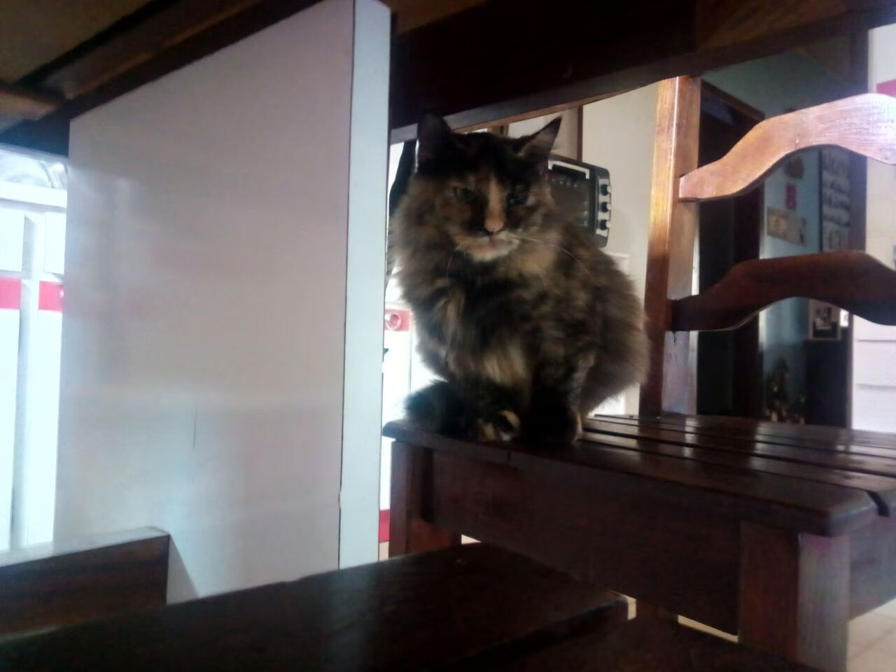 九游下载安装-女足国家队教练组调整，注入新活力，前女足国家队教练