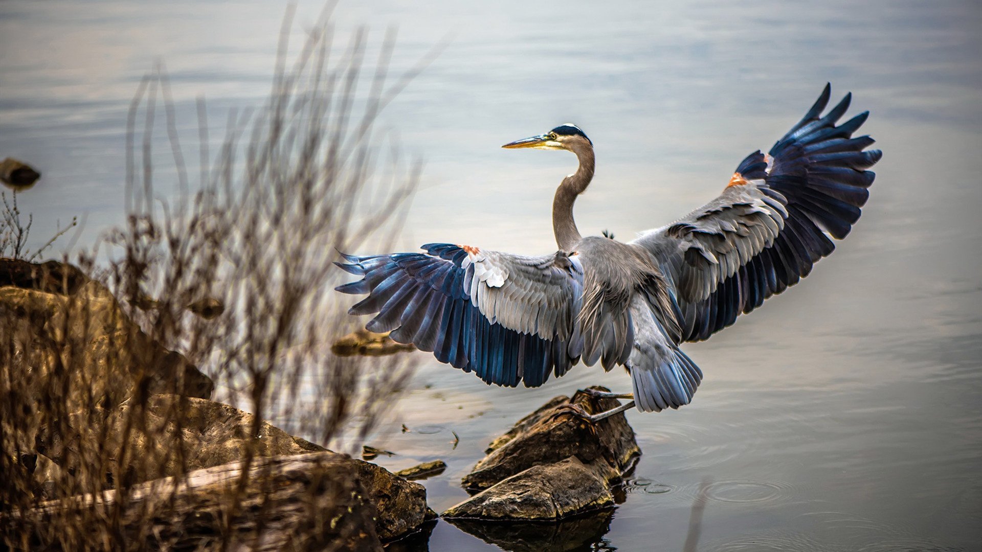 九游网页版入口-德甲关键扑救多次救主，比赛精彩片段频繁出现，德甲对抗