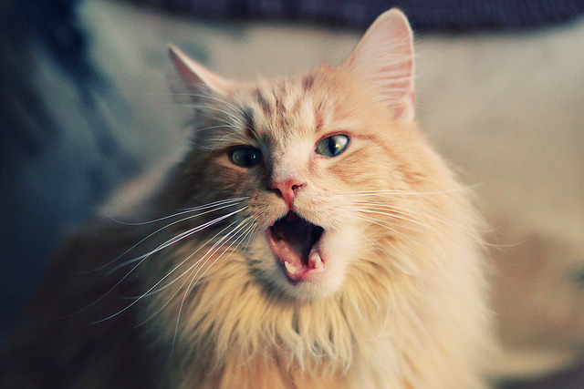 明星球员场外慈善行动感动球迷,nba球星慈善