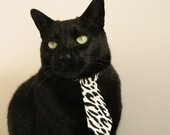 法国任命吉鲁伊为巴黎2024奥运会男子反曲弓队主教练,奥运会反曲弓是多少米