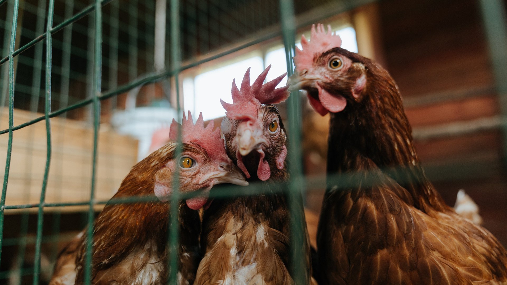 C9携手教育机构推广电竞文化,校园电竞推广