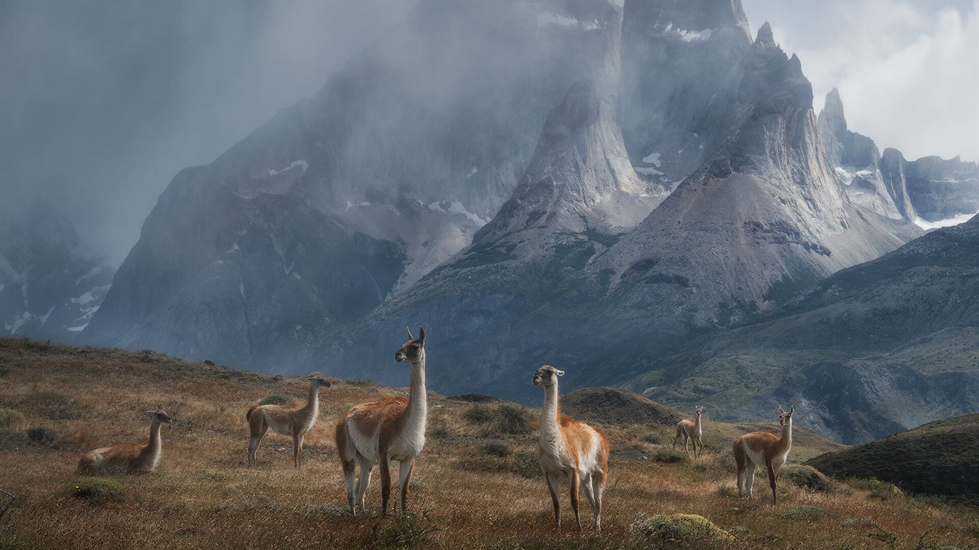 中国女足备战奥运会,信心满满,中国女足挺进奥运会