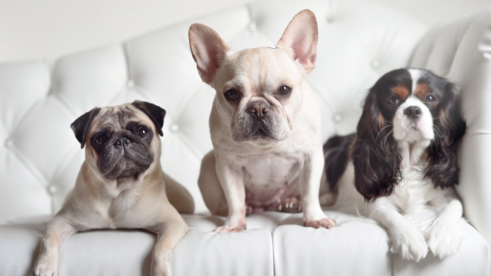 女足赛事吸引更多赞助商关注,女足踢比赛