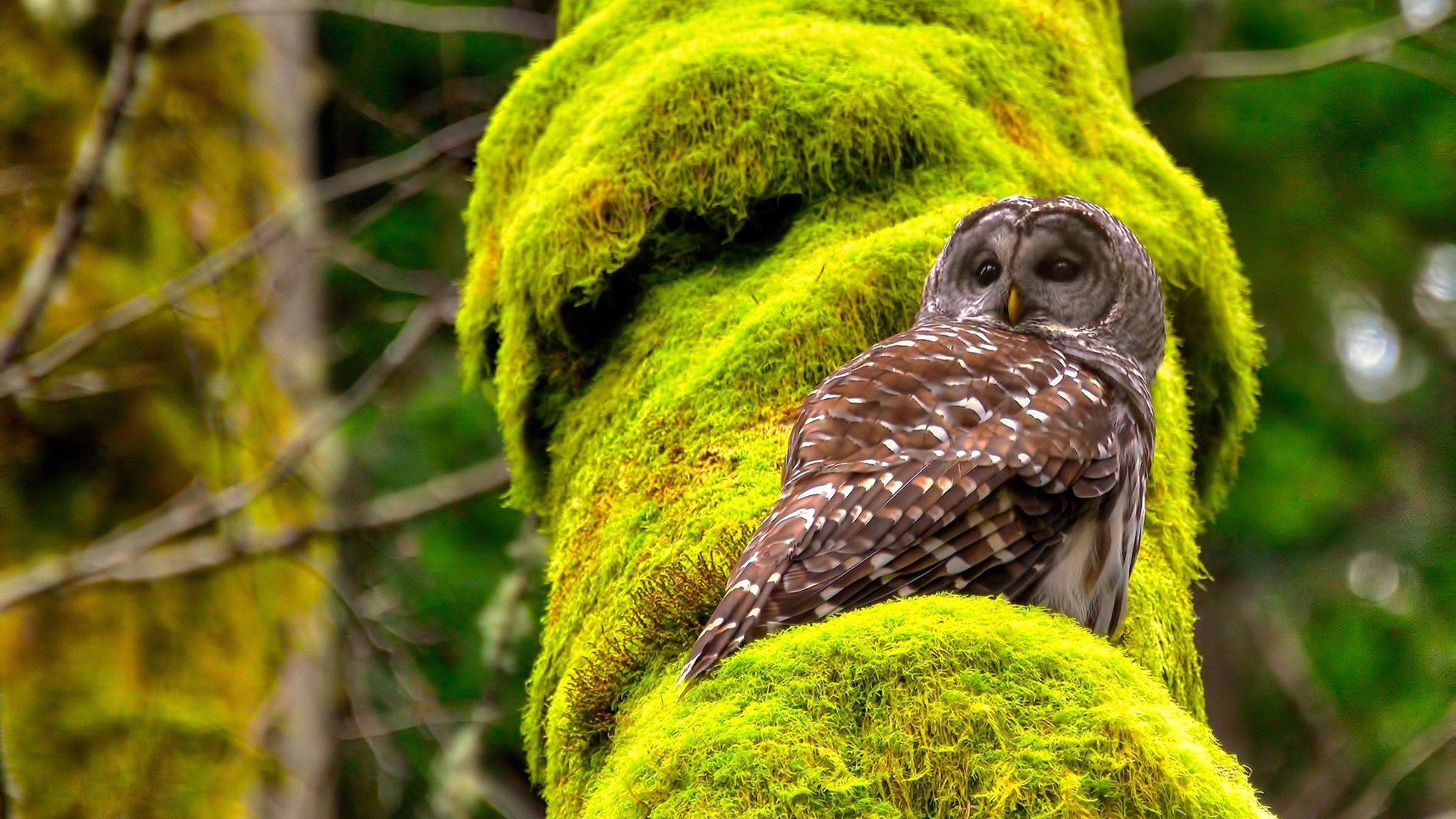 九游游戏中心-川崎前锋客场关键胜利，川崎前锋客场关键胜利是哪一年