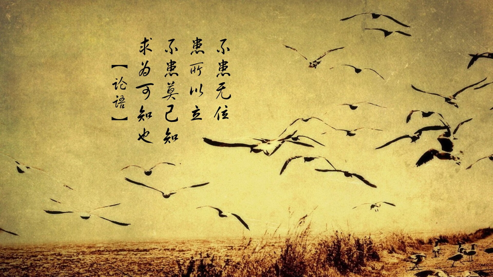 法甲球队连战连胜,冠军气息弥漫,法甲联赛球星