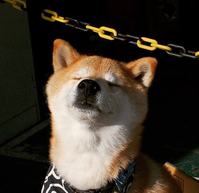 达西尔瓦成为球队主帅,施展战术一改冷门,西藏队达尔西