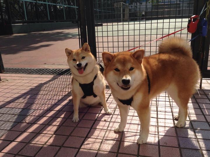 九游电脑版-阿尔阿赫利客场表现稳健，阿尔赫尔德