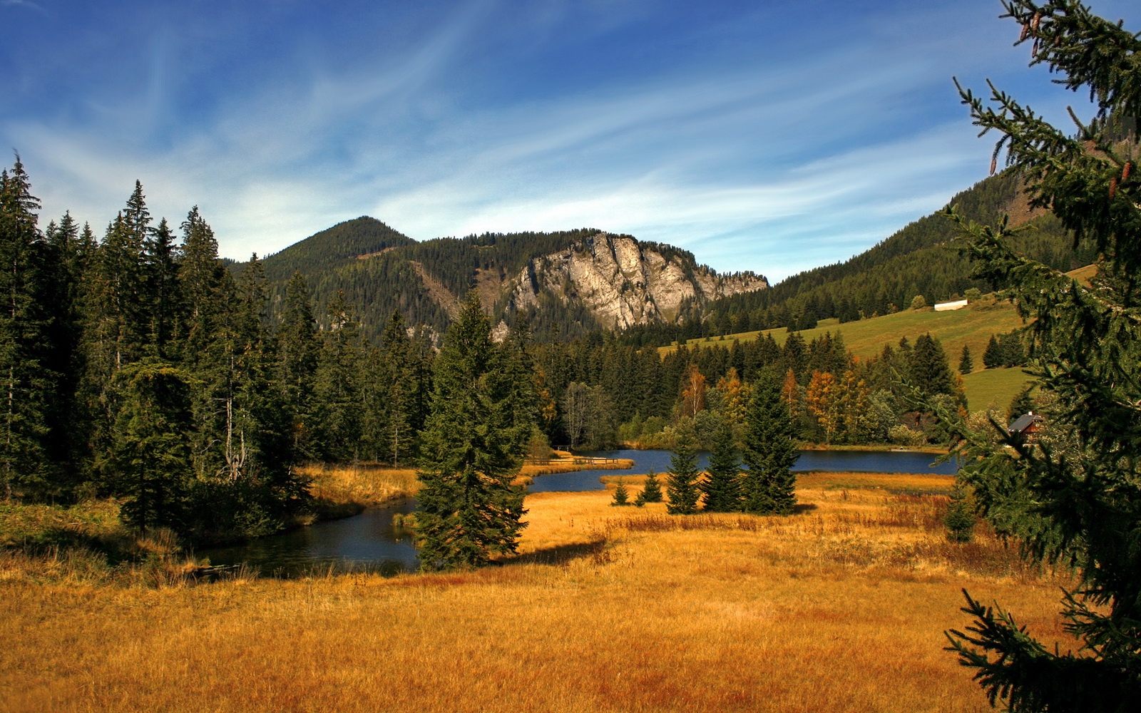 九游电脑版-阿联酋球队淘汰强敌，实力备受认可，阿联酋足球队厉害吗