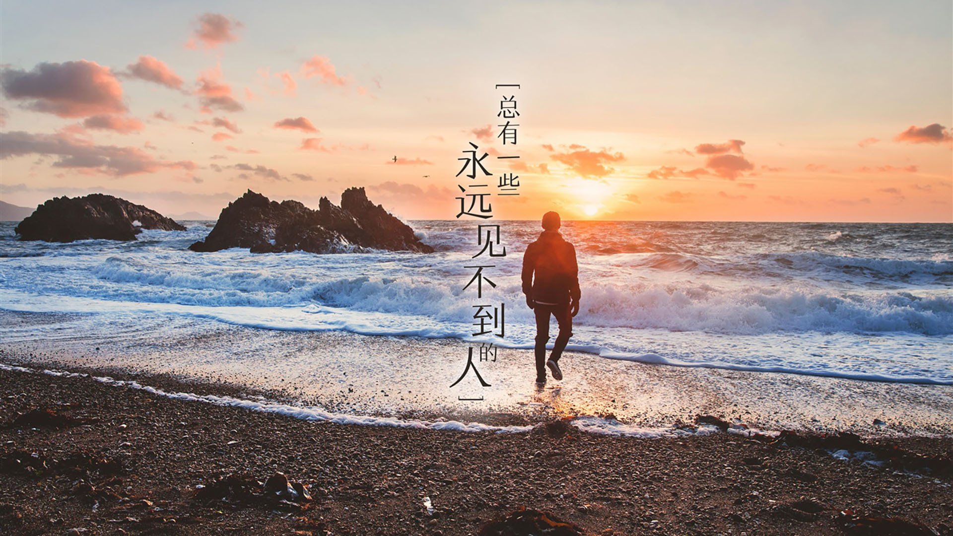 NBA球员职业规划建议报告,nba职业球员有多强