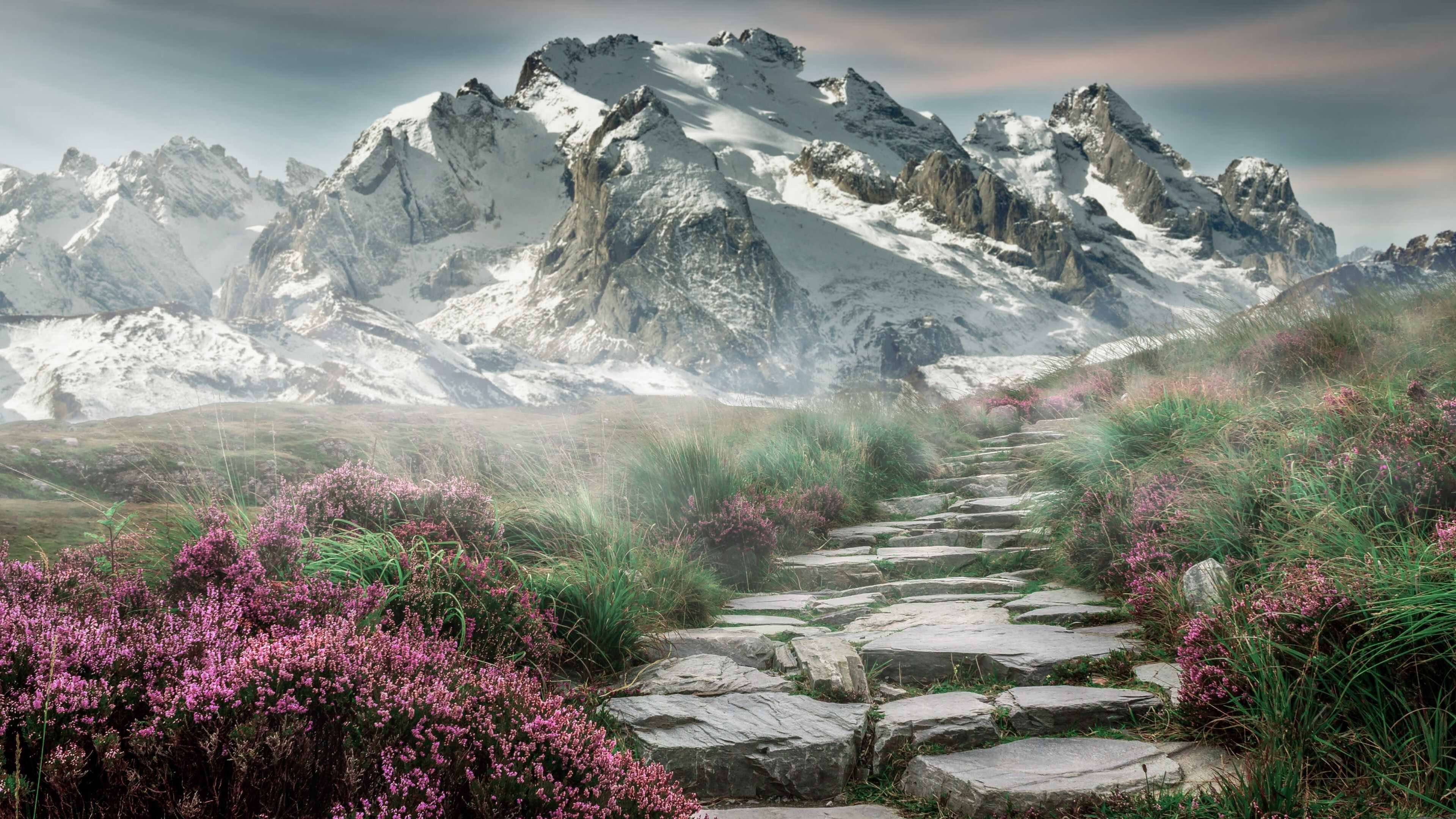 NBA球员职业规划建议报告,nba职业球员有多强