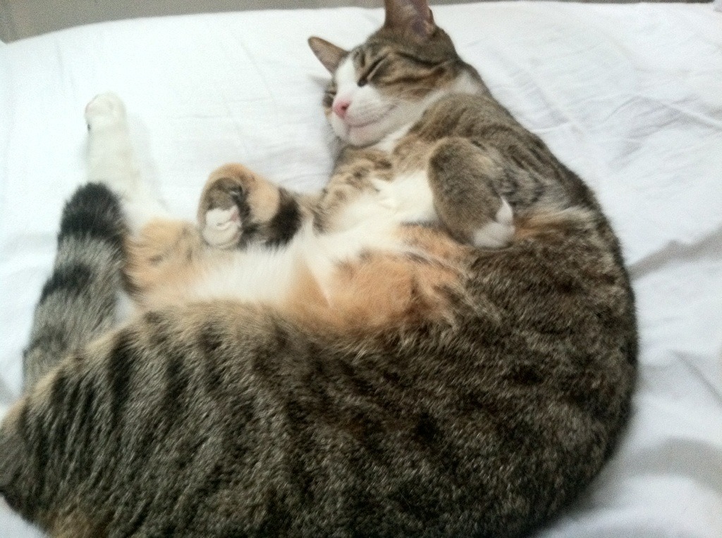 中国足球成绩斜率趋势分析,2021年中国足球水平