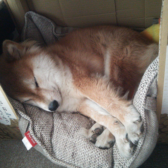 九游娱乐APP-体育产业资本运作策略，我国体育资本运营的发展趋势