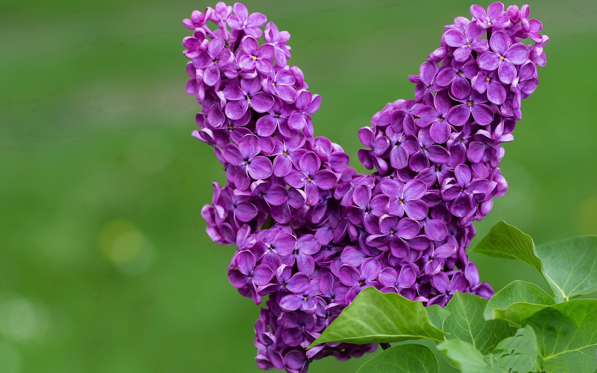 篮球运动员专项体能训练负荷精准监控技术研究,篮球运动员运动负荷量度