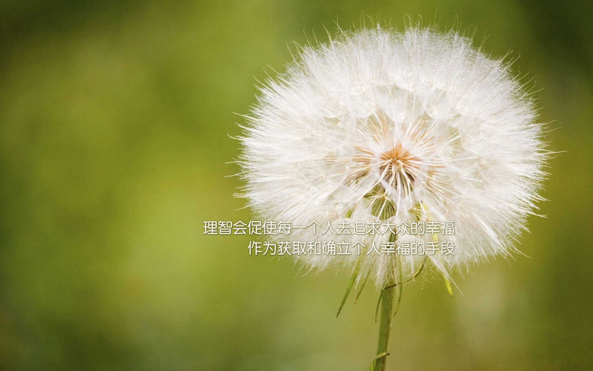 青少年体育社交平台用户行为特征及体验优化研究,青少年体育市场