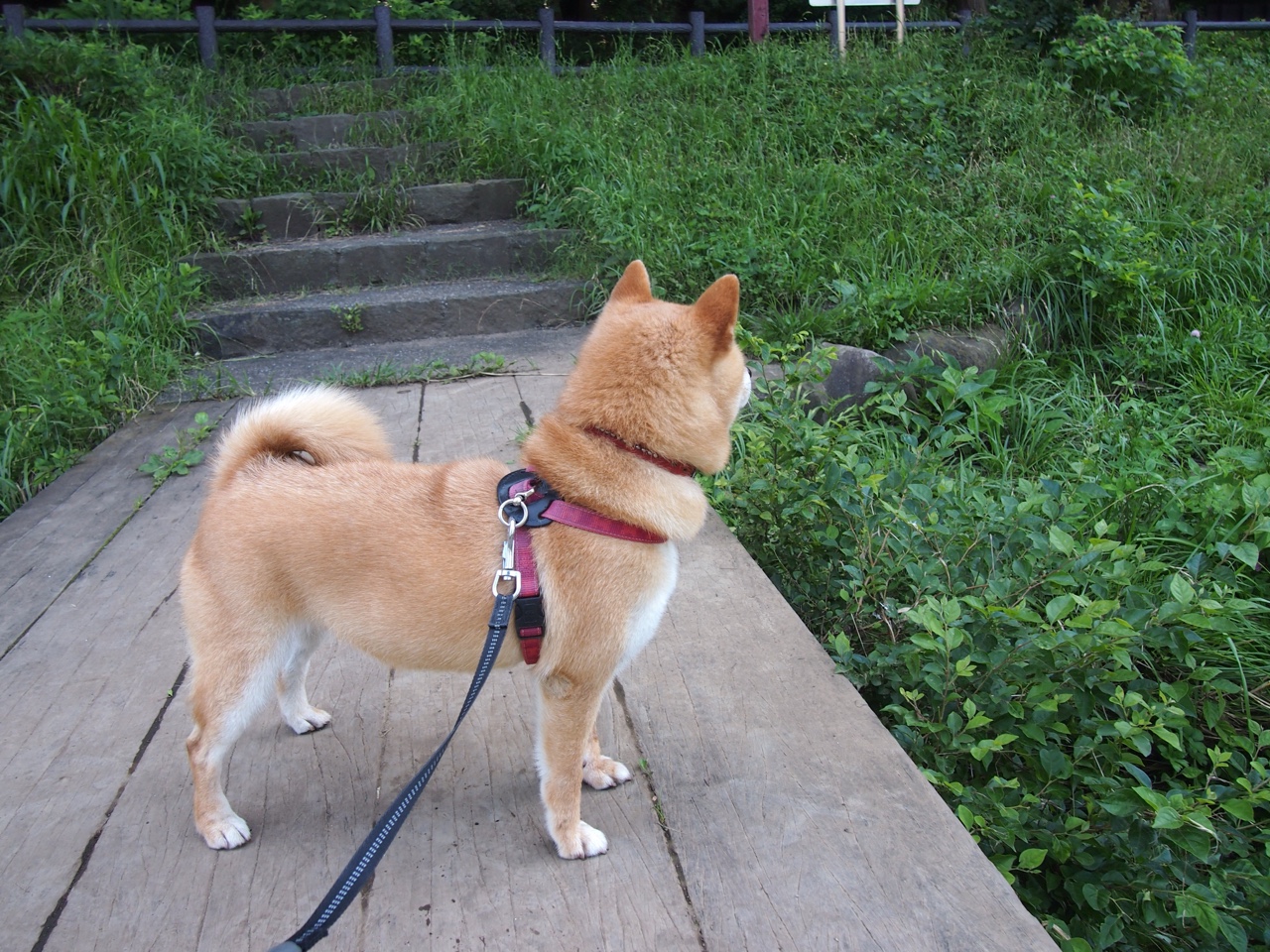 “舞动人生!运动舞蹈让金牛区城北体育馆成为舞者展示实力的绝佳舞台”