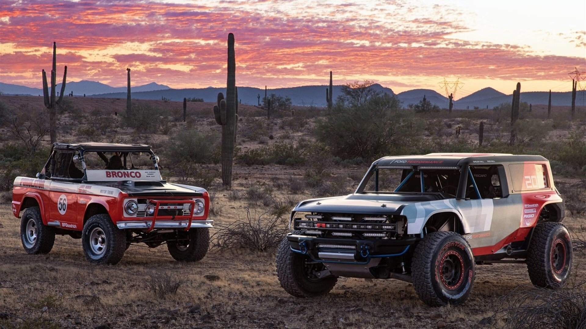 JiuyouAPP下载-CBA球队设立科学营养顾问提升球员体能保障，cba球队营养师