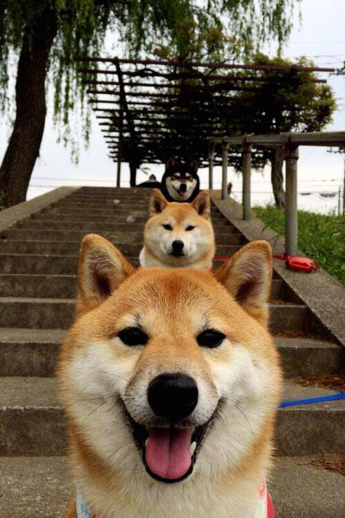 九游下载安装-主帅专注防守体系构建力求以稳固防线冲击更好名次，什么是主帅挑战