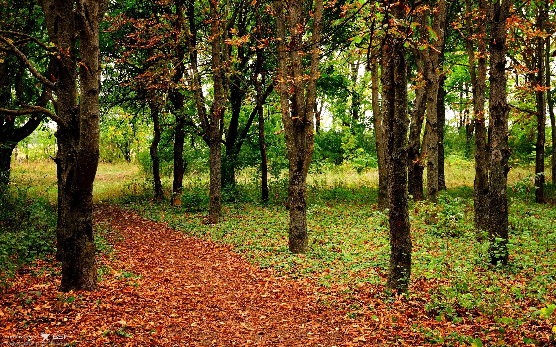 九游娱乐-法甲联赛中的运动科学应用，法甲介绍