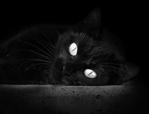 职业球员设立赛季读书计划提升文化素养形象，职业球员训练